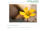 www.mcmlxxix.de